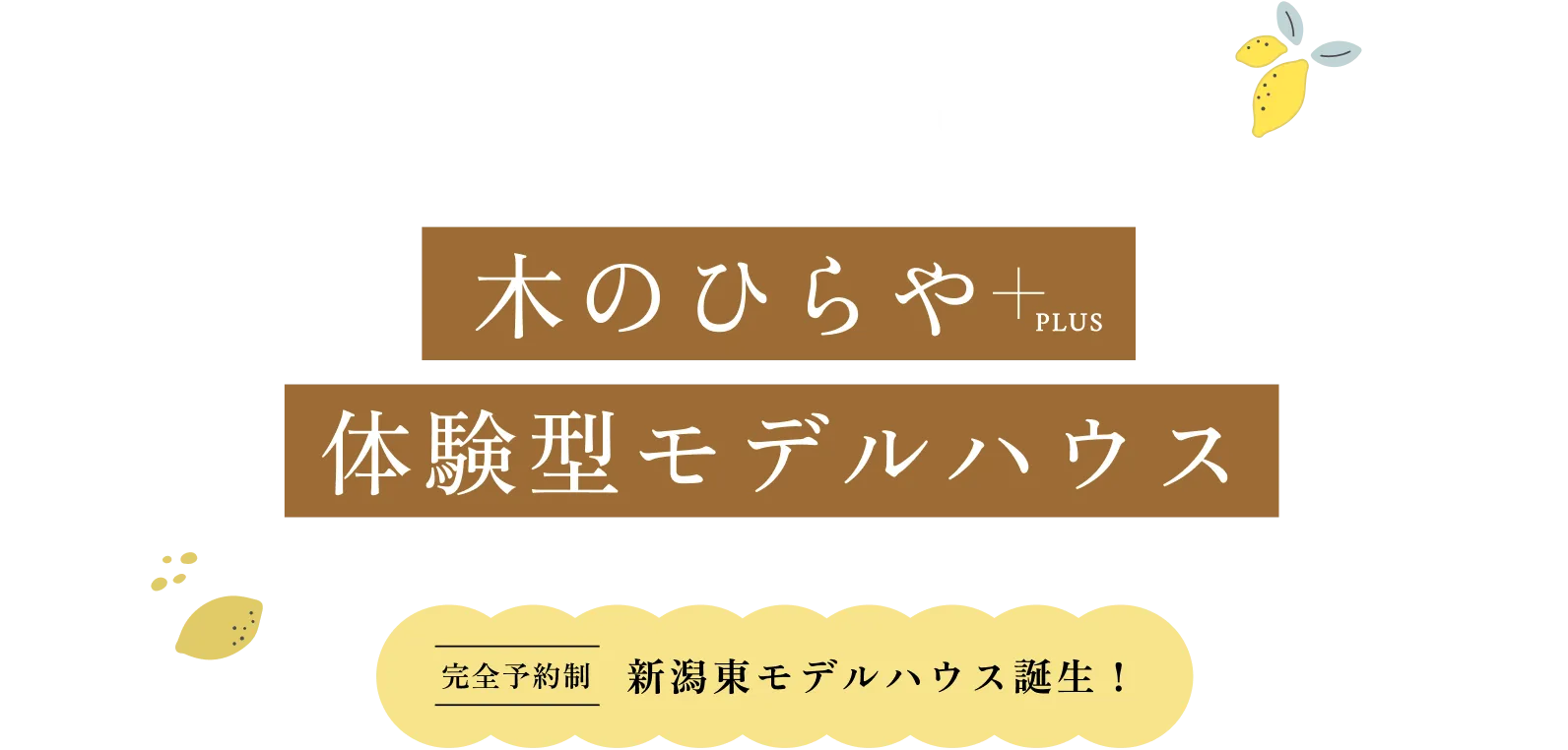 木のひらや+PLUS 体験型モデルハウス