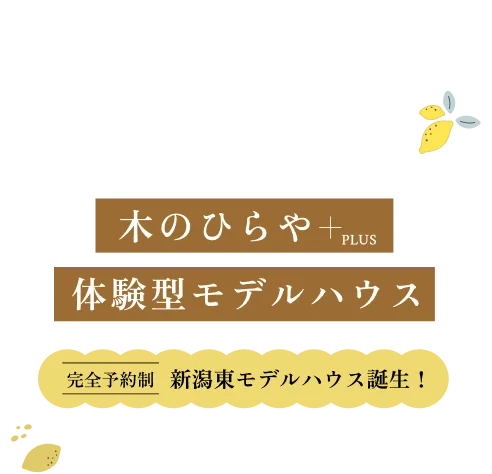 木のひらや+PLUS 体験型モデルハウス